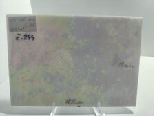 SPC 305 IRIZOVANÉ č. 244