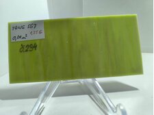 YANG 567